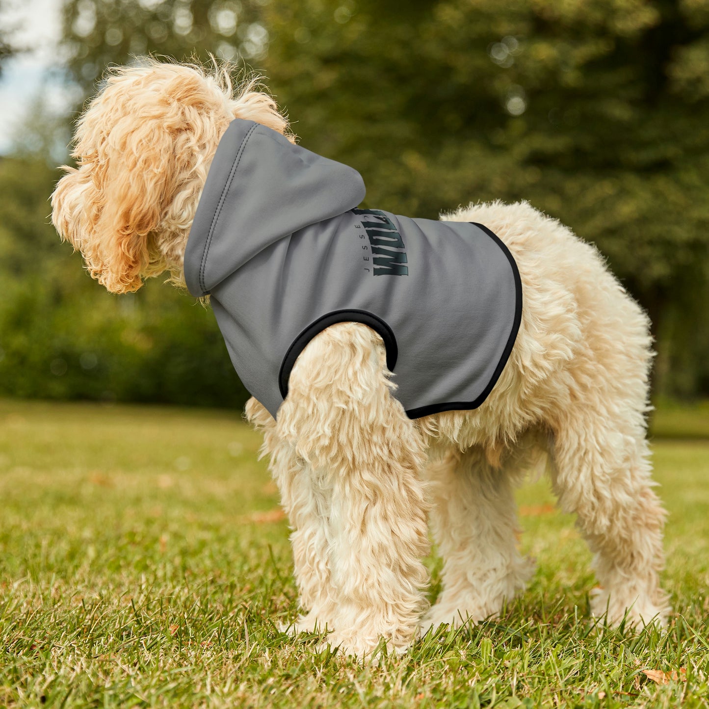 Wolfpack Dog Hoodie